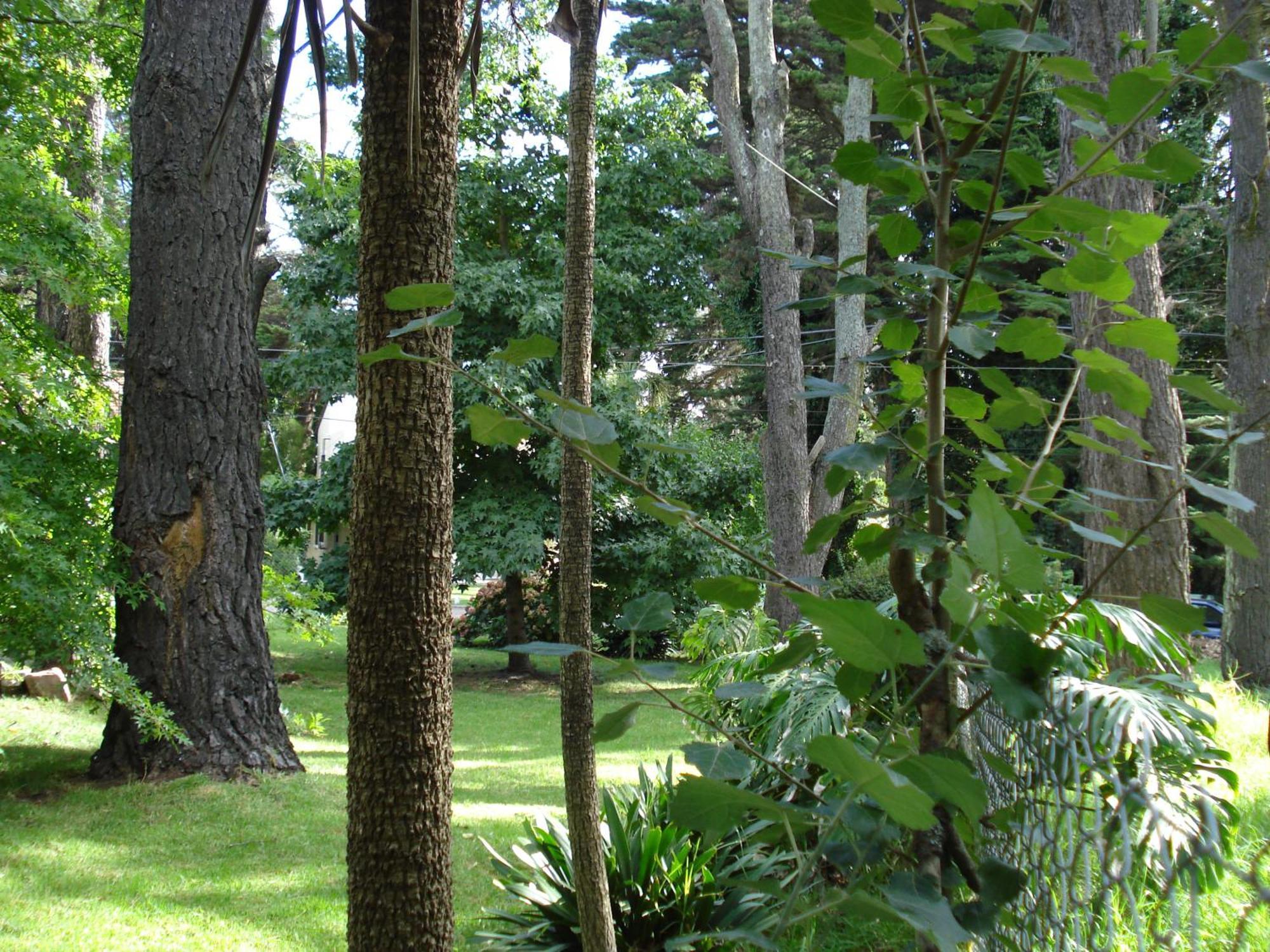 Cabana En El Bosque Peralta Ramos, Mar Del Plata, 4/5 Huespedes. * Mar del Plata